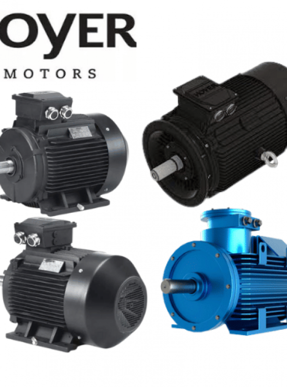 SỬA CHỮA MOTOR HMC3 225M-4 HOYER VIETNAM - LTD ĐẠI LÝ HOYER