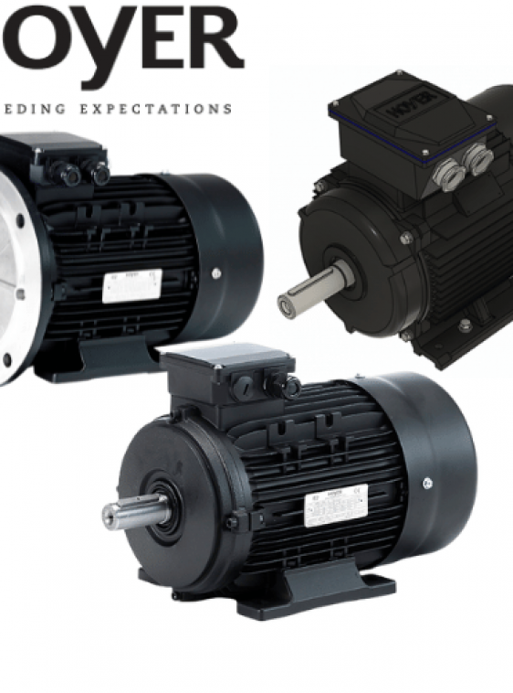 SỬA CHỮA ĐỘNG CƠ HMA2 100L-2 HOYER VIETNAM - LTD ĐẠI LÝ HOYER